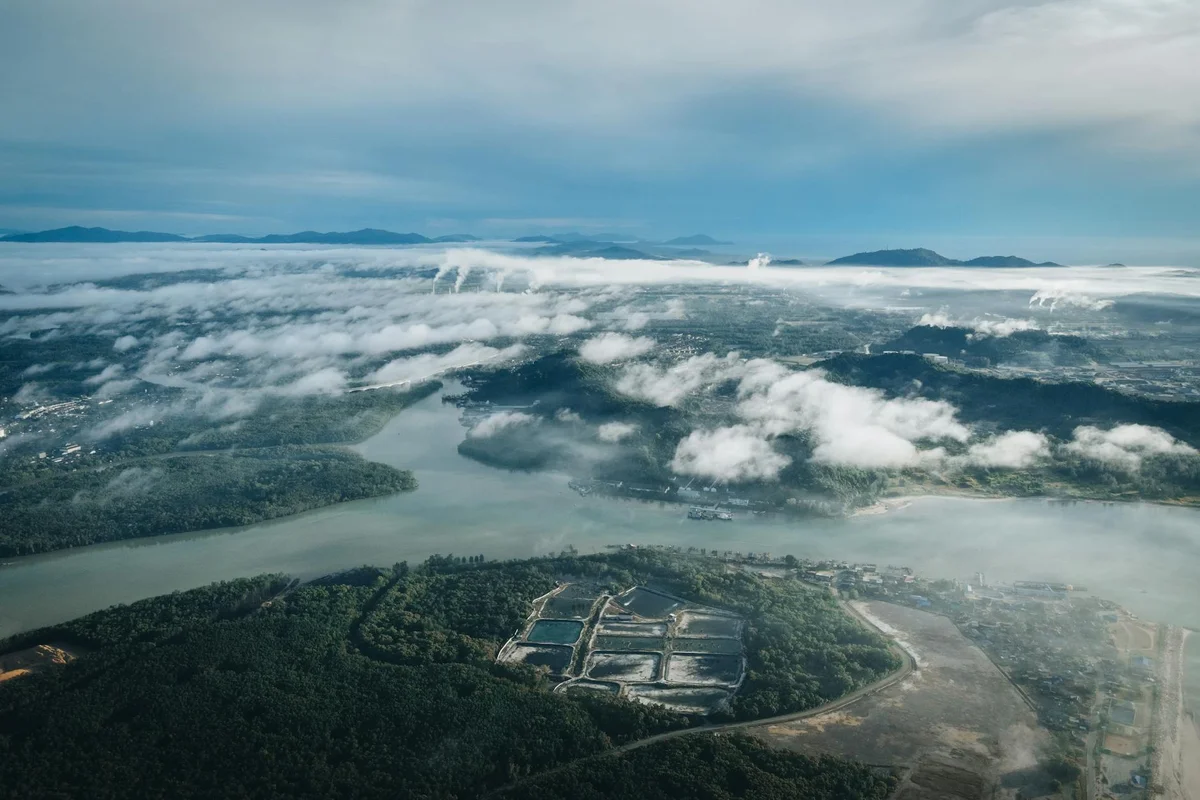 Endau-Rompin National Park view 1