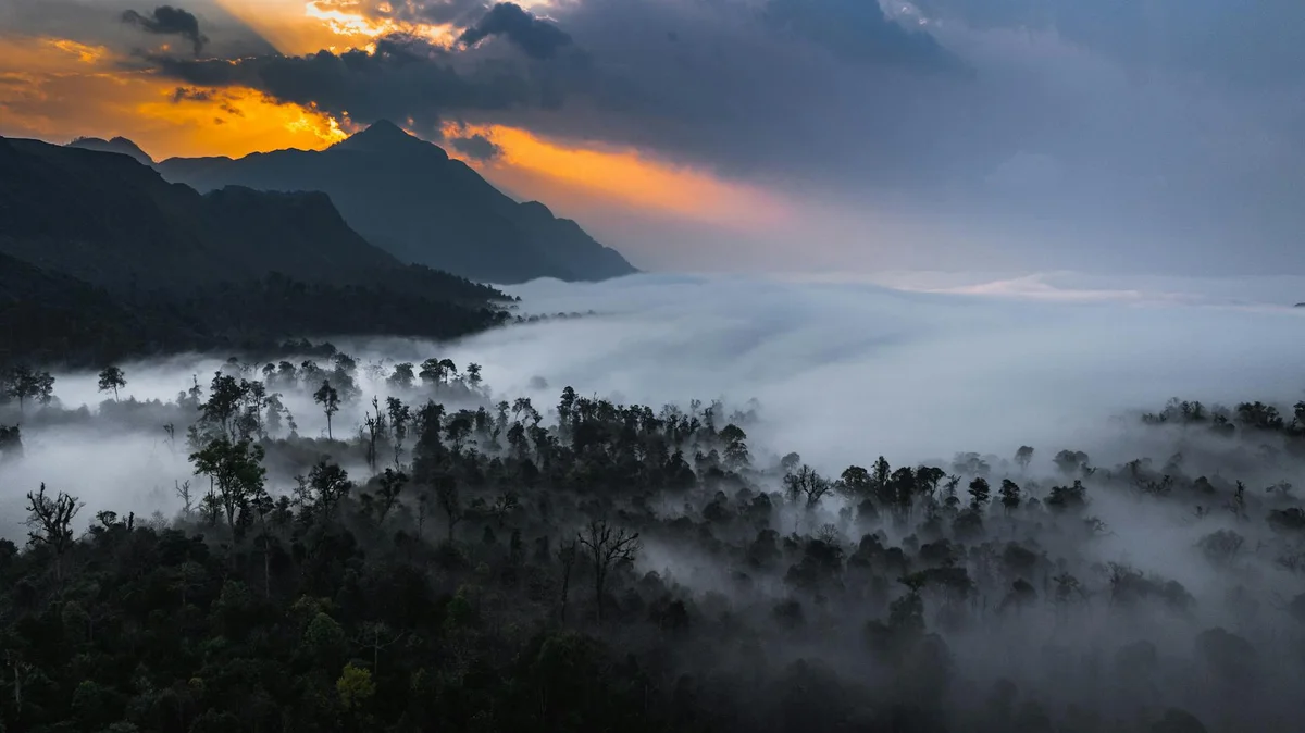 Gunung Pulai view 1