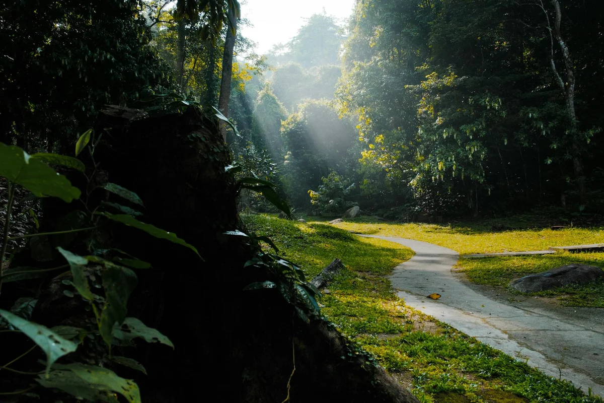 Gunung Pulai view 2