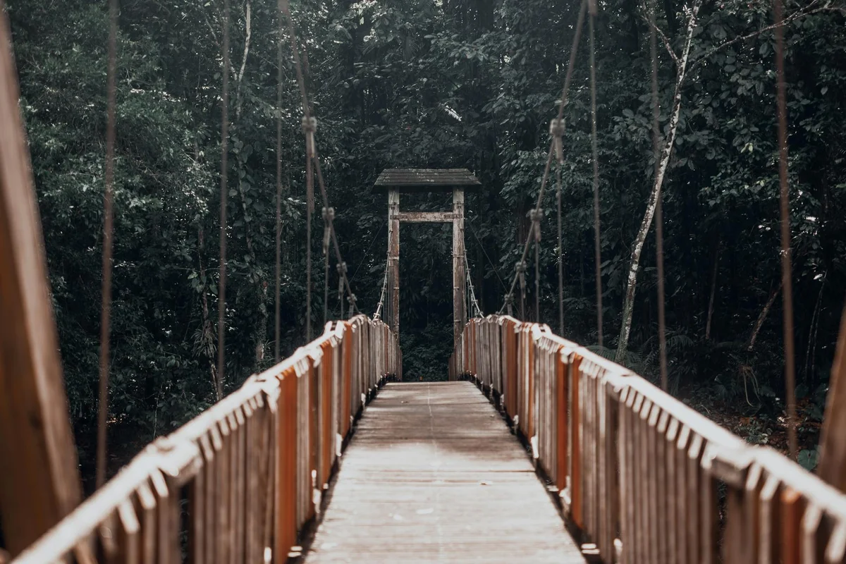 Hutan Bandar MBJB view 1
