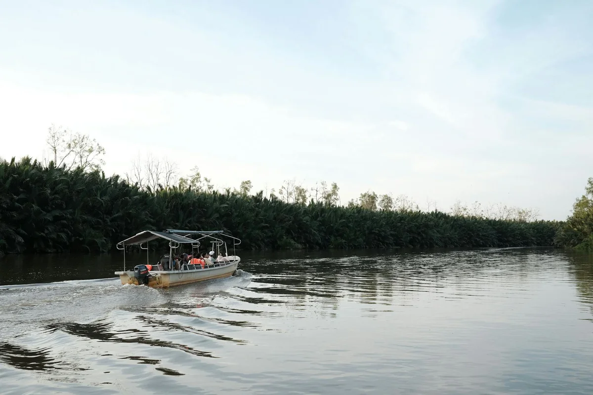 Klias Wetlands view 2