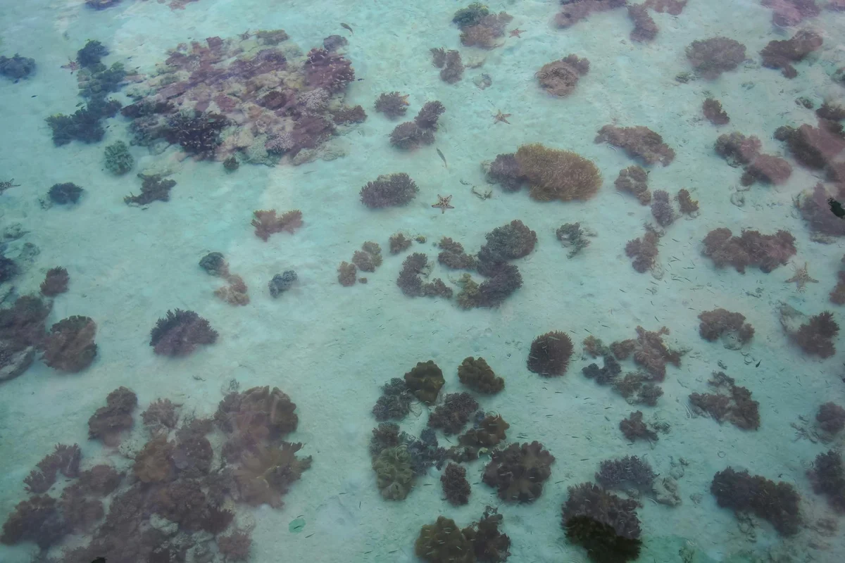 Mamutik Island view 2