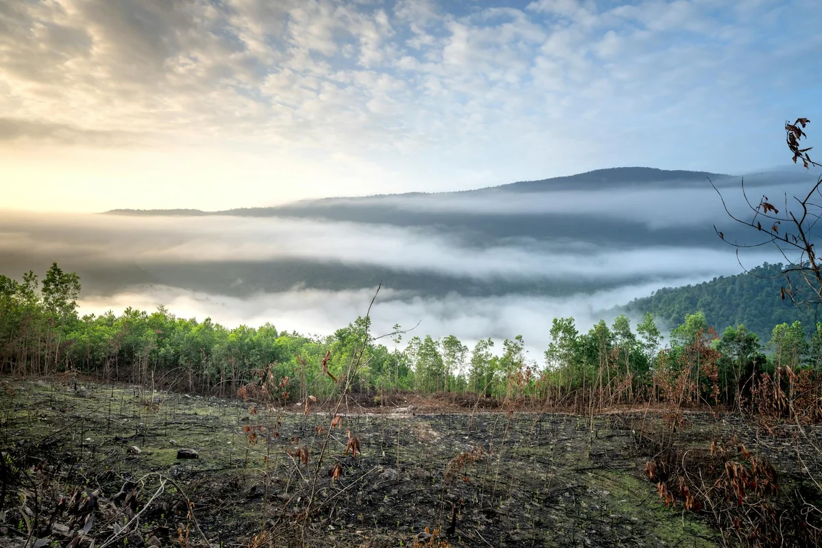 Mount Murud Viewpoint view 2