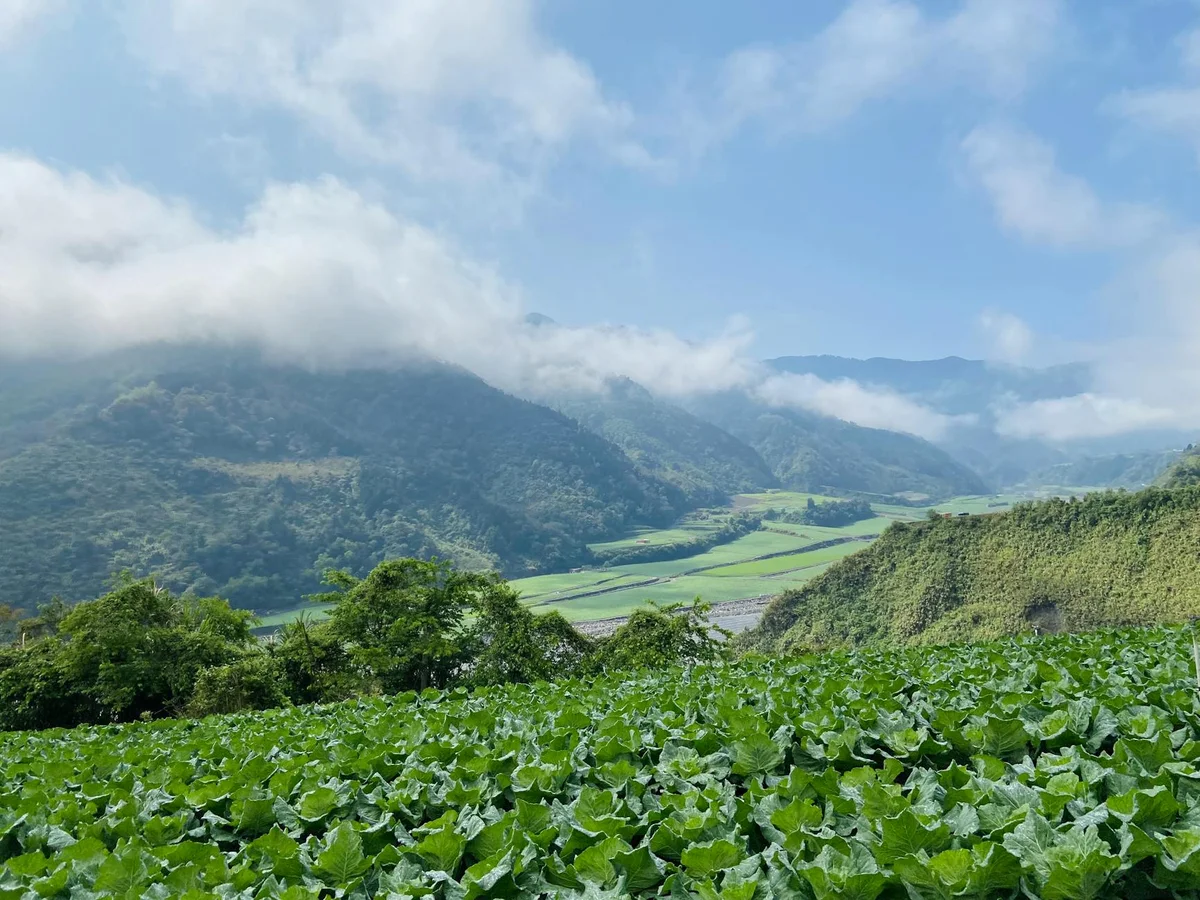 Ranau Vegetable Market view 2