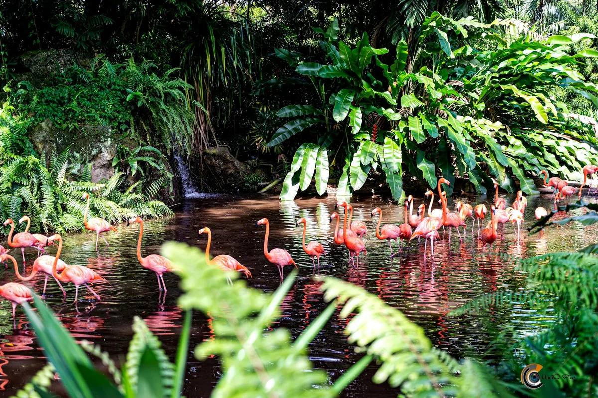 Langkawi Wildlife Park feature