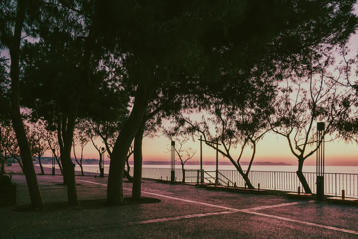 Gurney Drive view 2