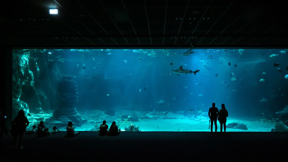 Aquaria KLCC view 2