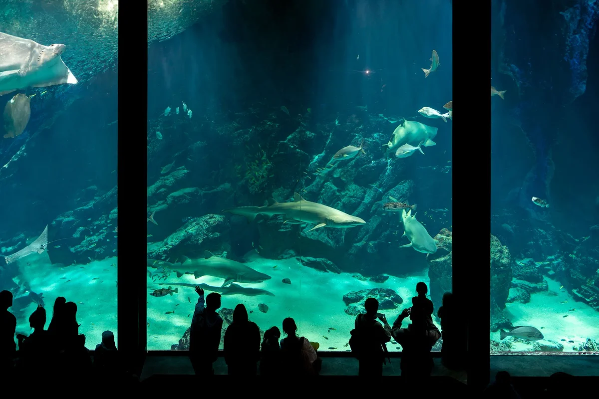 Aquaria KLCC view 1