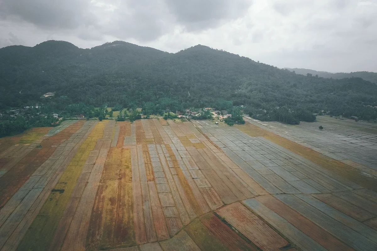 Balik Pulau feature