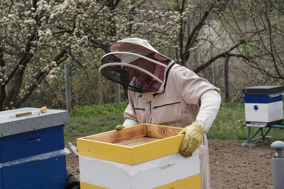 Ee Feng Gu Bee Farm view 2
