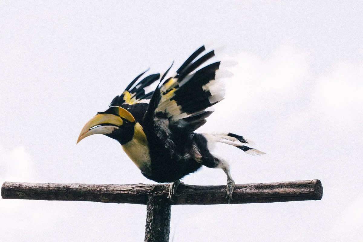 KL Bird Park view 1