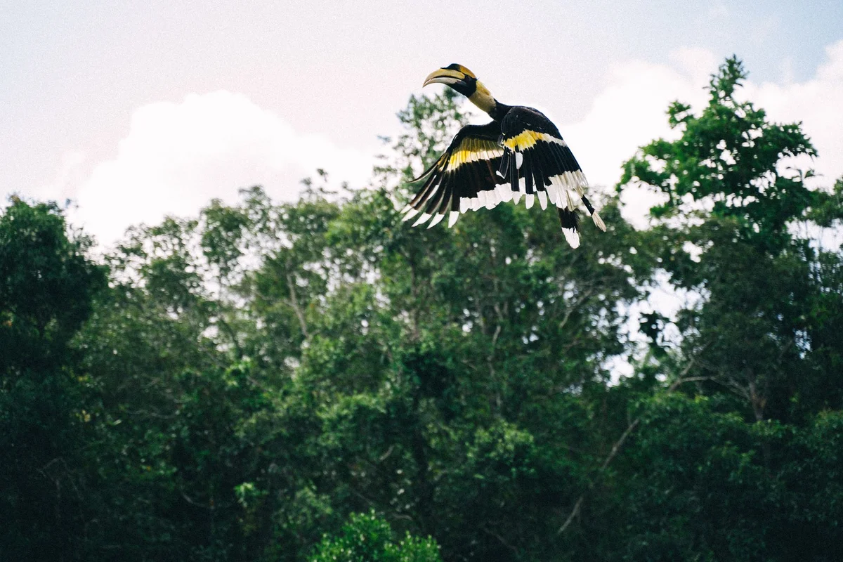 KL Bird Park feature