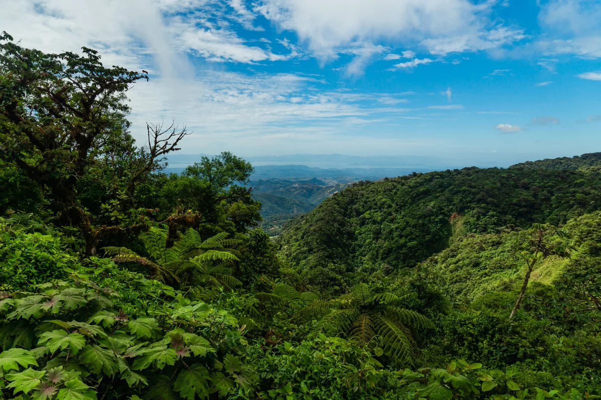 Kokol Hill view 2
