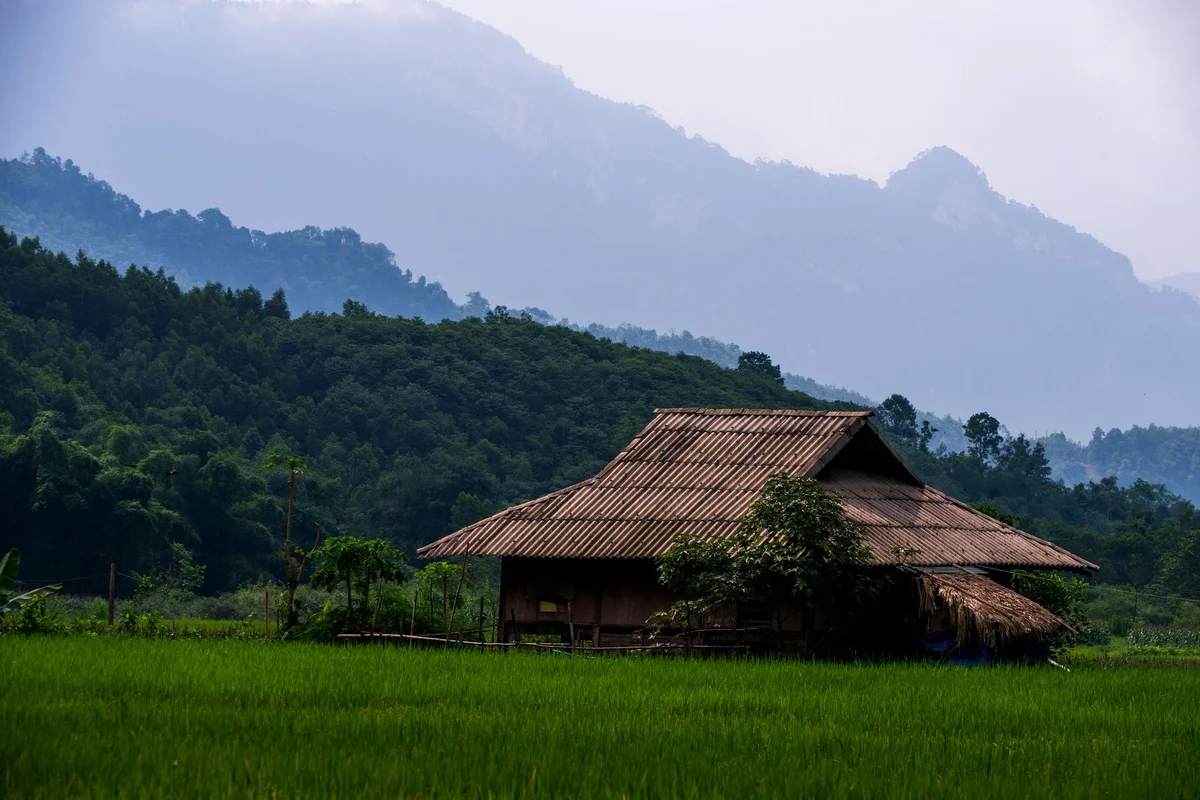 Laman Padi Langkawi feature