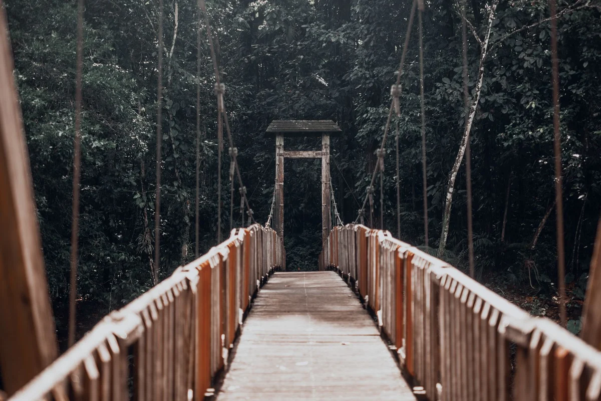 Poring Canopy Walkway view 2
