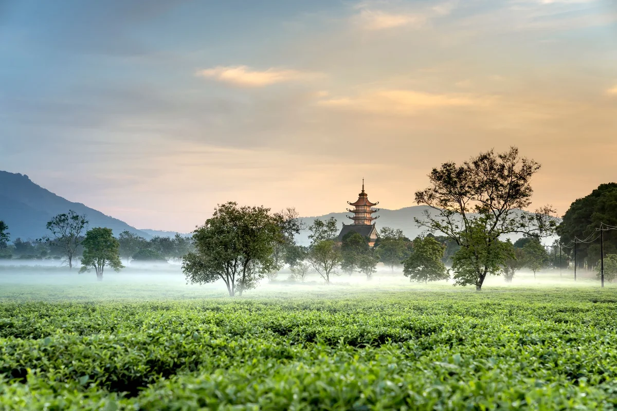 [object Object] view 1