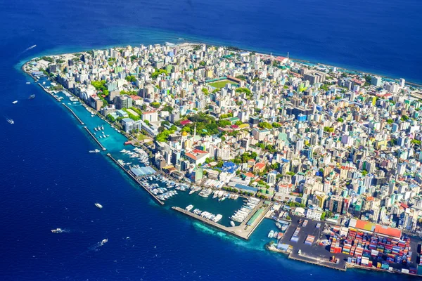 Island Pulse