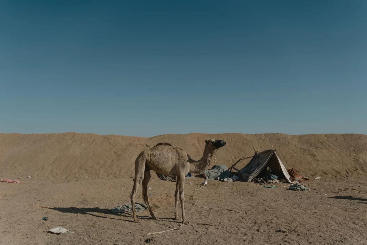 Wahiba Sands Desert feature
