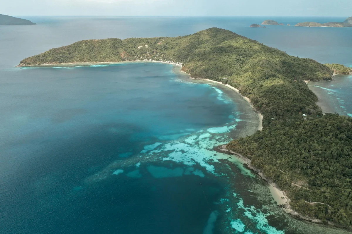 Crocodile Island feature