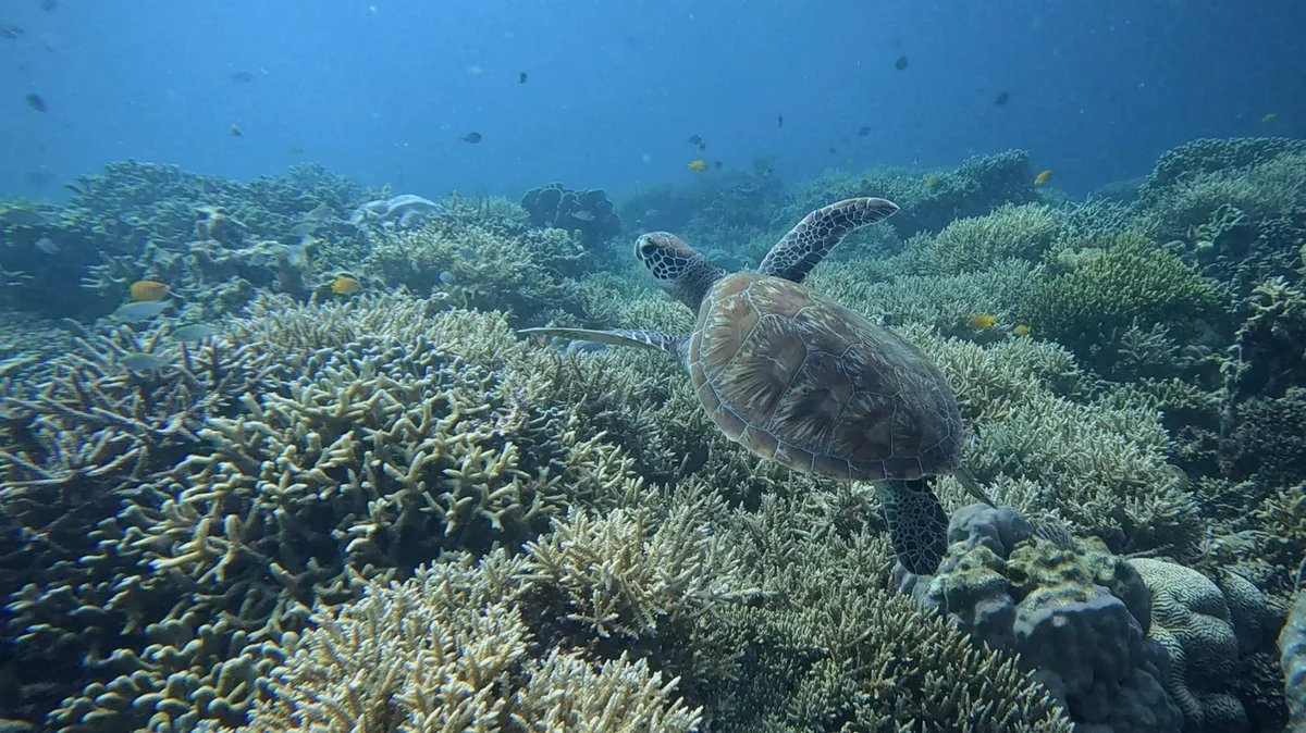 Amanpulo House Reef view 1