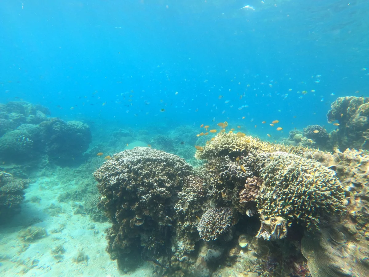 Amanpulo House Reef view 2