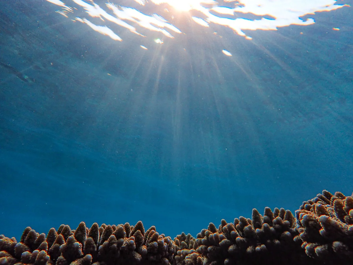 Amanpulo House Reef feature