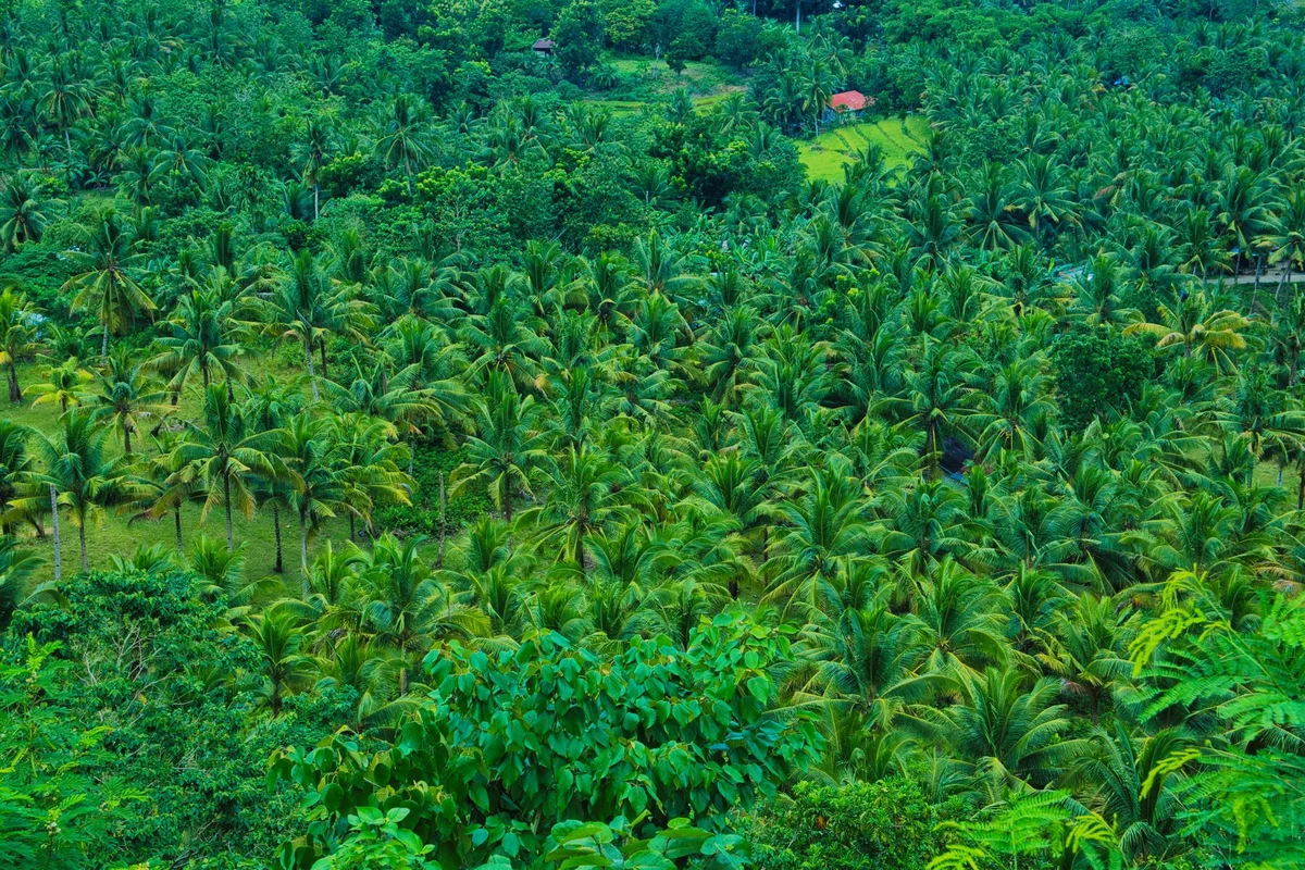 Amanpulo view 2