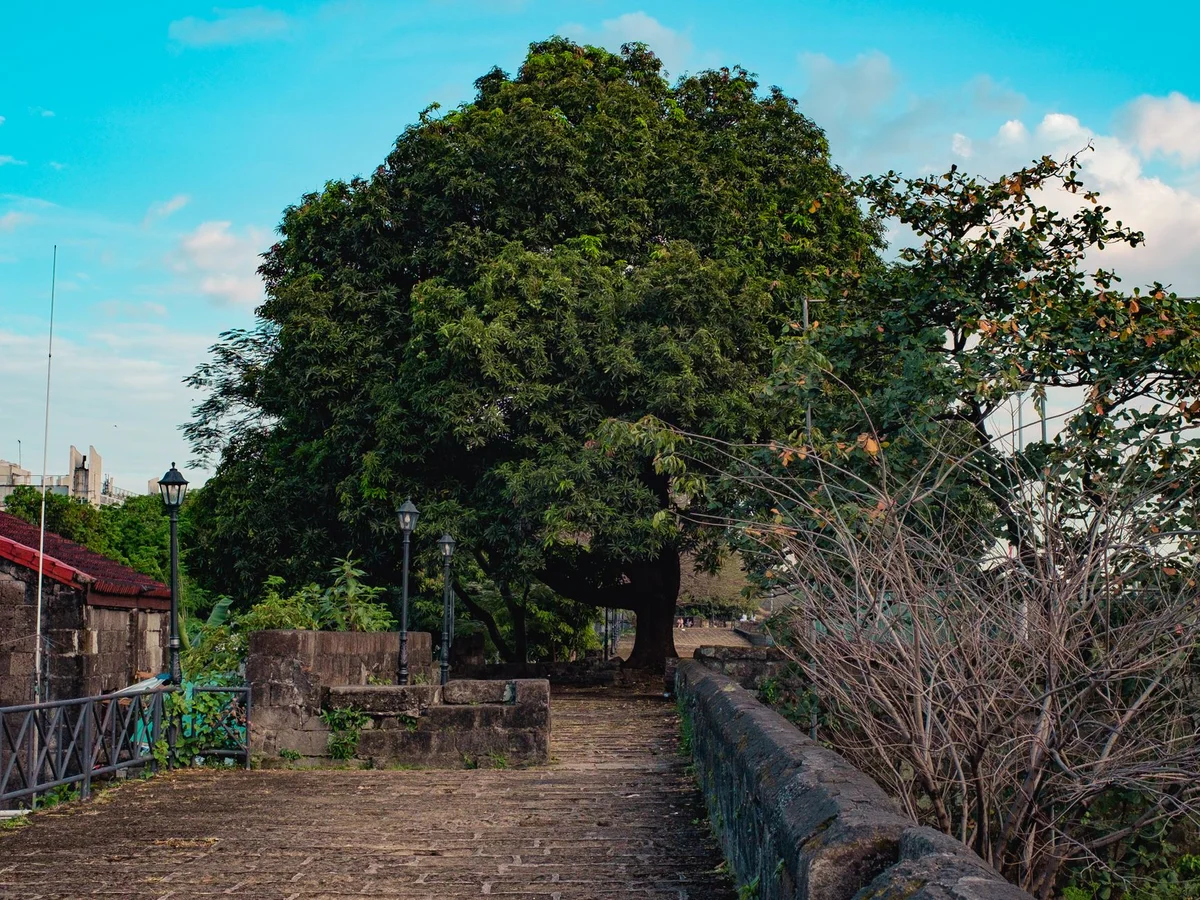 Fort Santiago feature