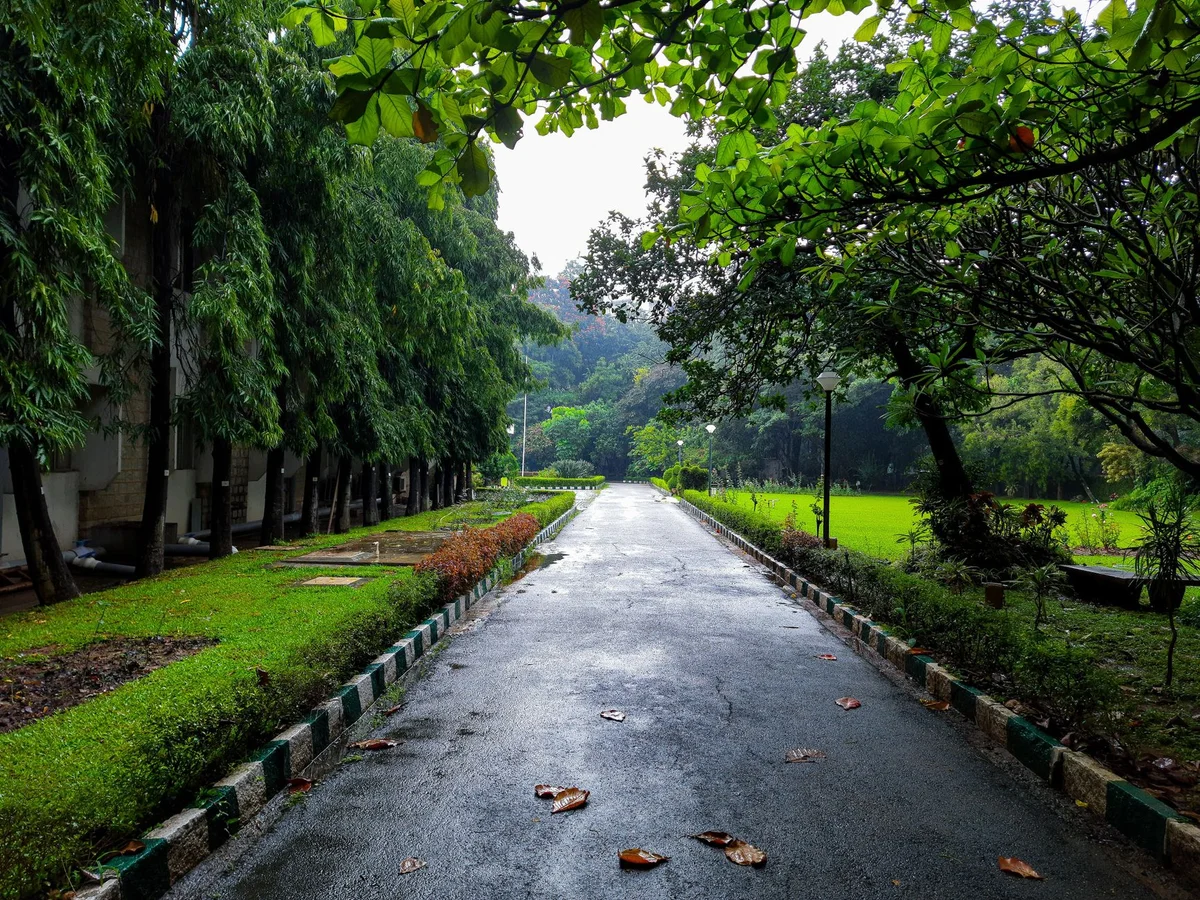 Greenbelt Park view 2