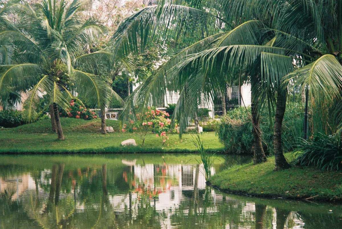 Greenbelt Park view 1