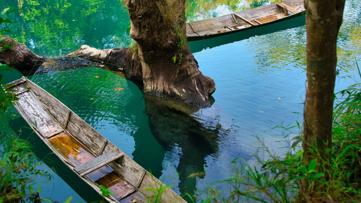 Loboc River Cruise feature