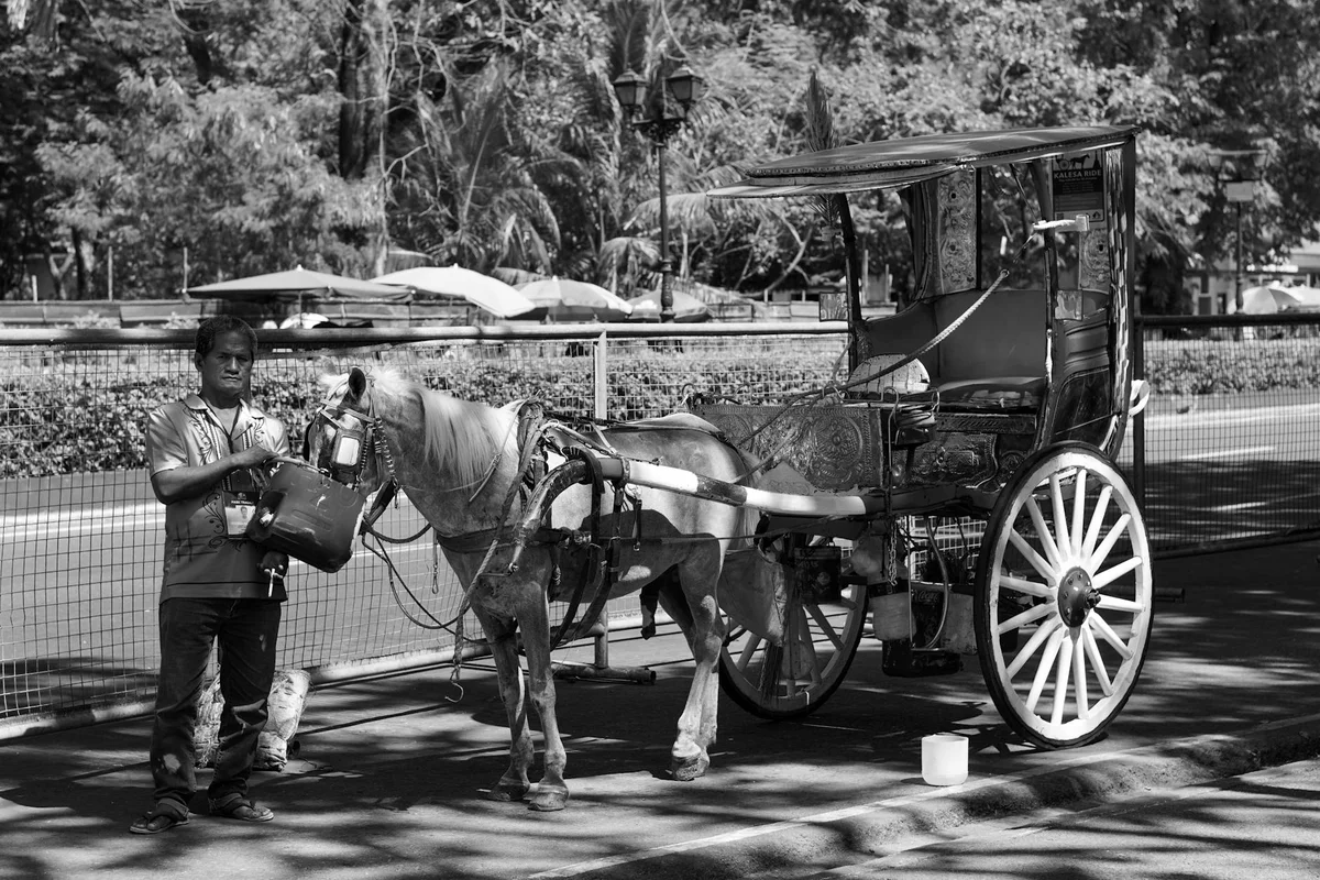 Manila Ocean Park view 1