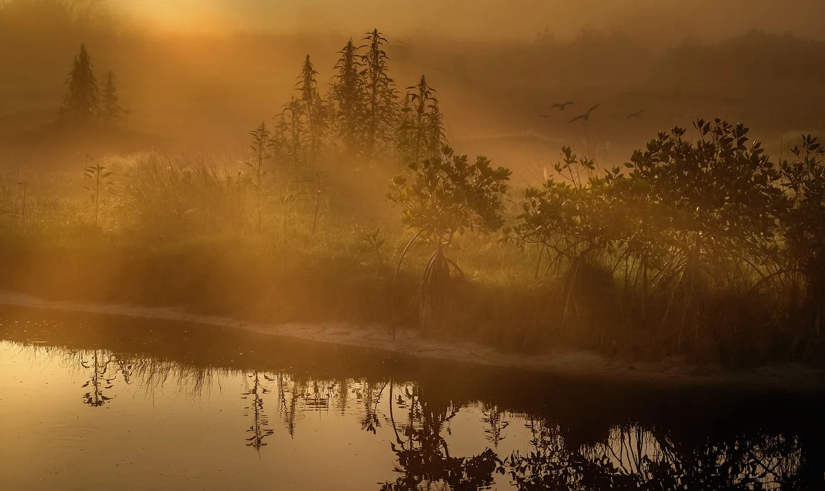 Maquinit Hot Spring feature