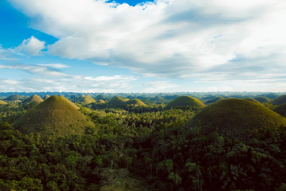 Philippine Tarsier Sanctuary feature