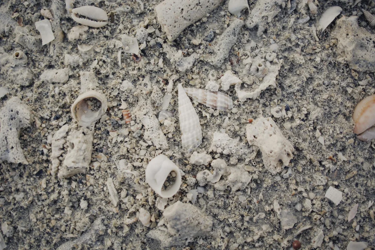 Puka Shell Beach view 2