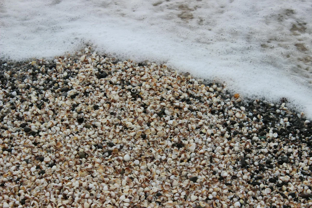 Puka Shell Beach view 1