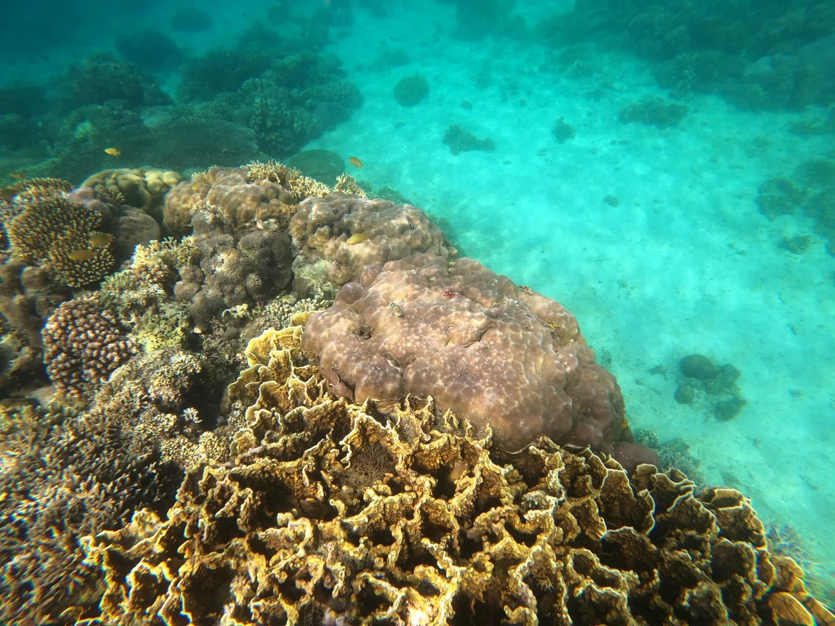 Siete Pecados Marine Park view 1