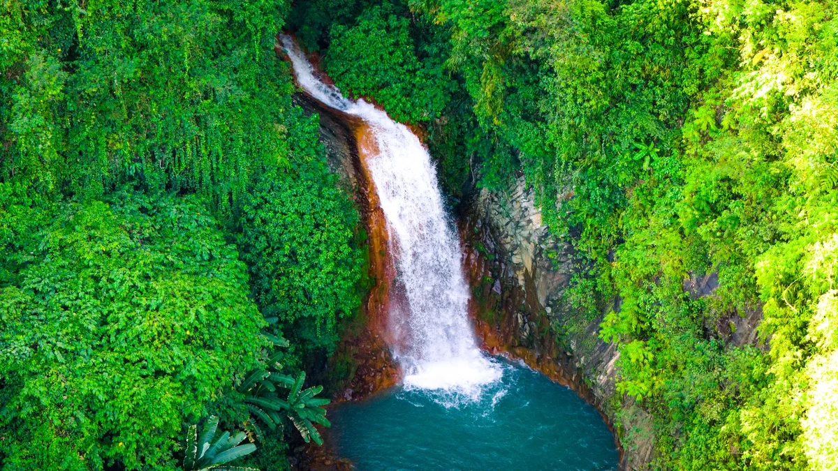 Tumalog Falls feature