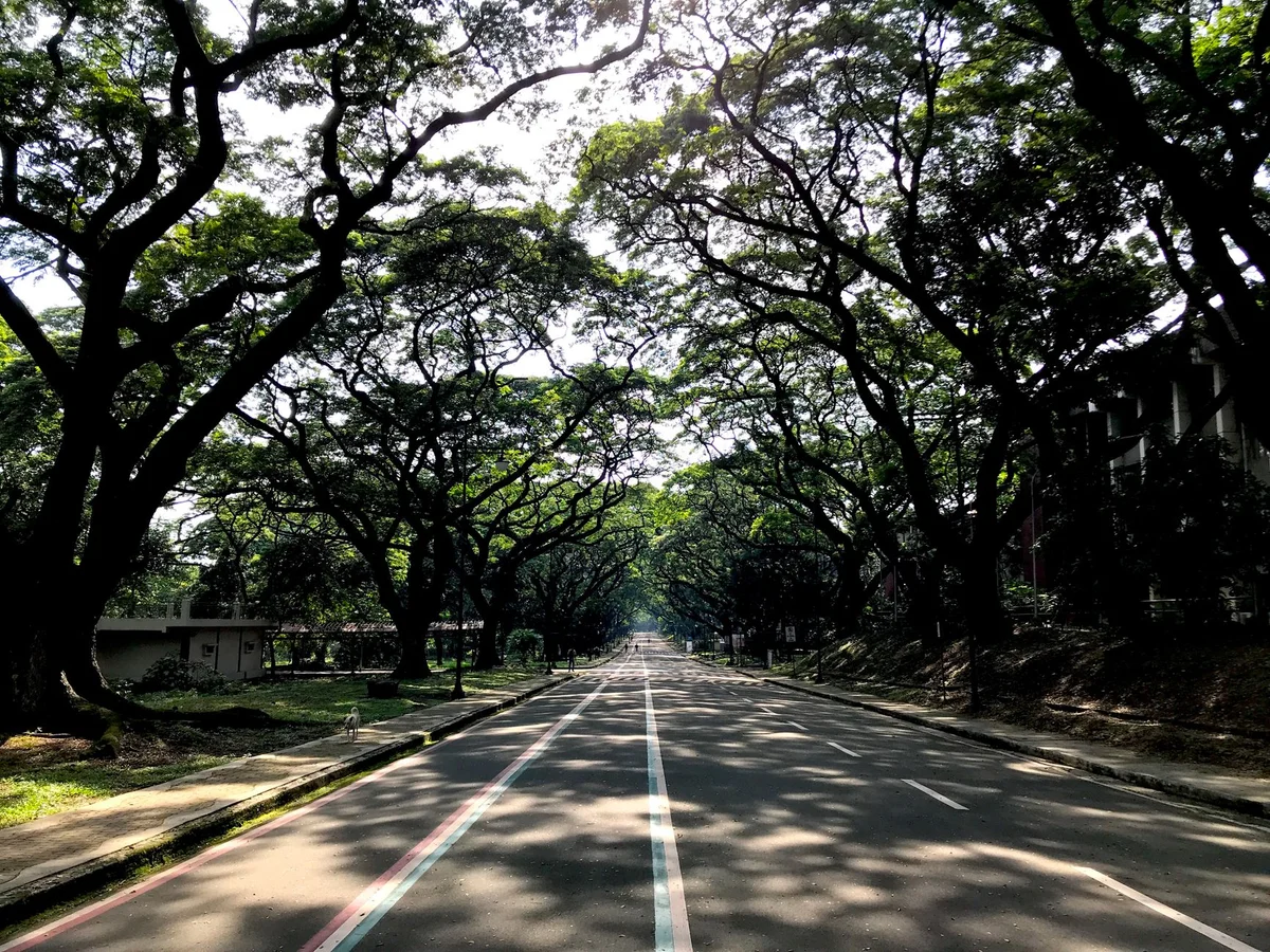 UP Diliman Academic Oval feature