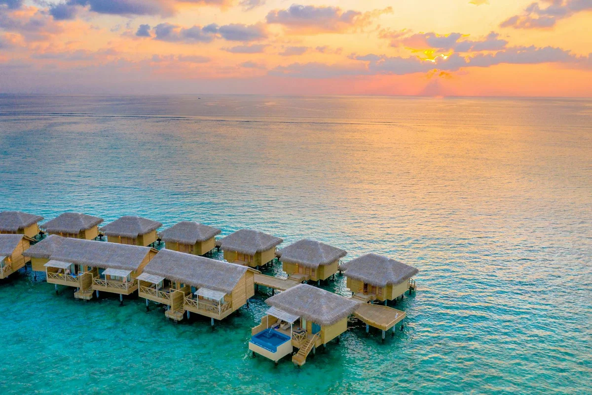 Banana Island feature