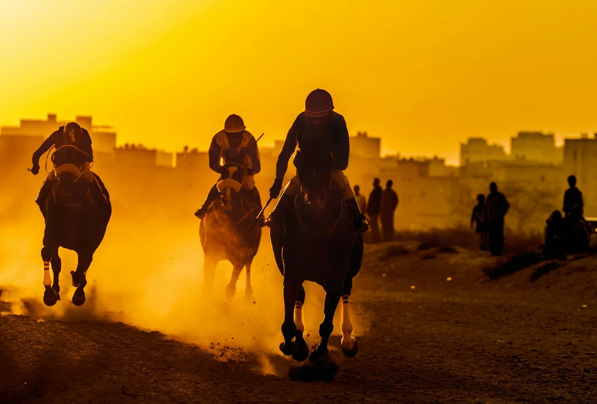 Al Shaqab feature