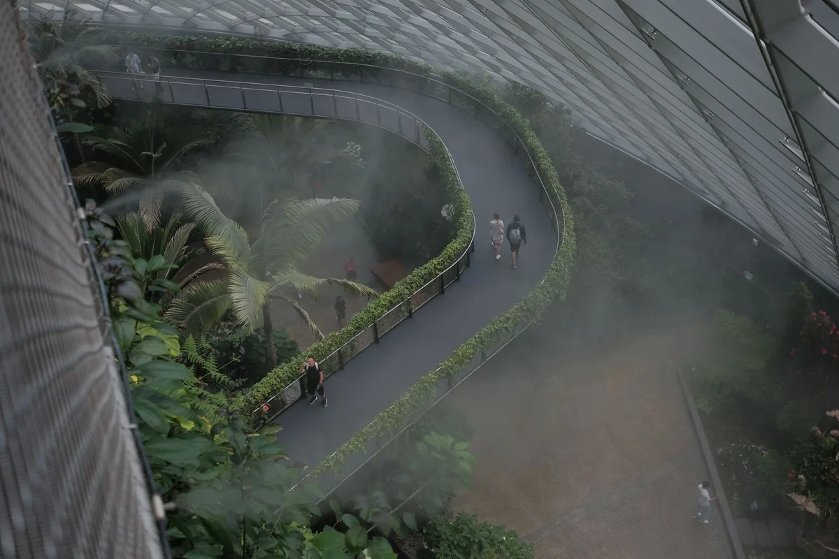 Cloud Forest view 1