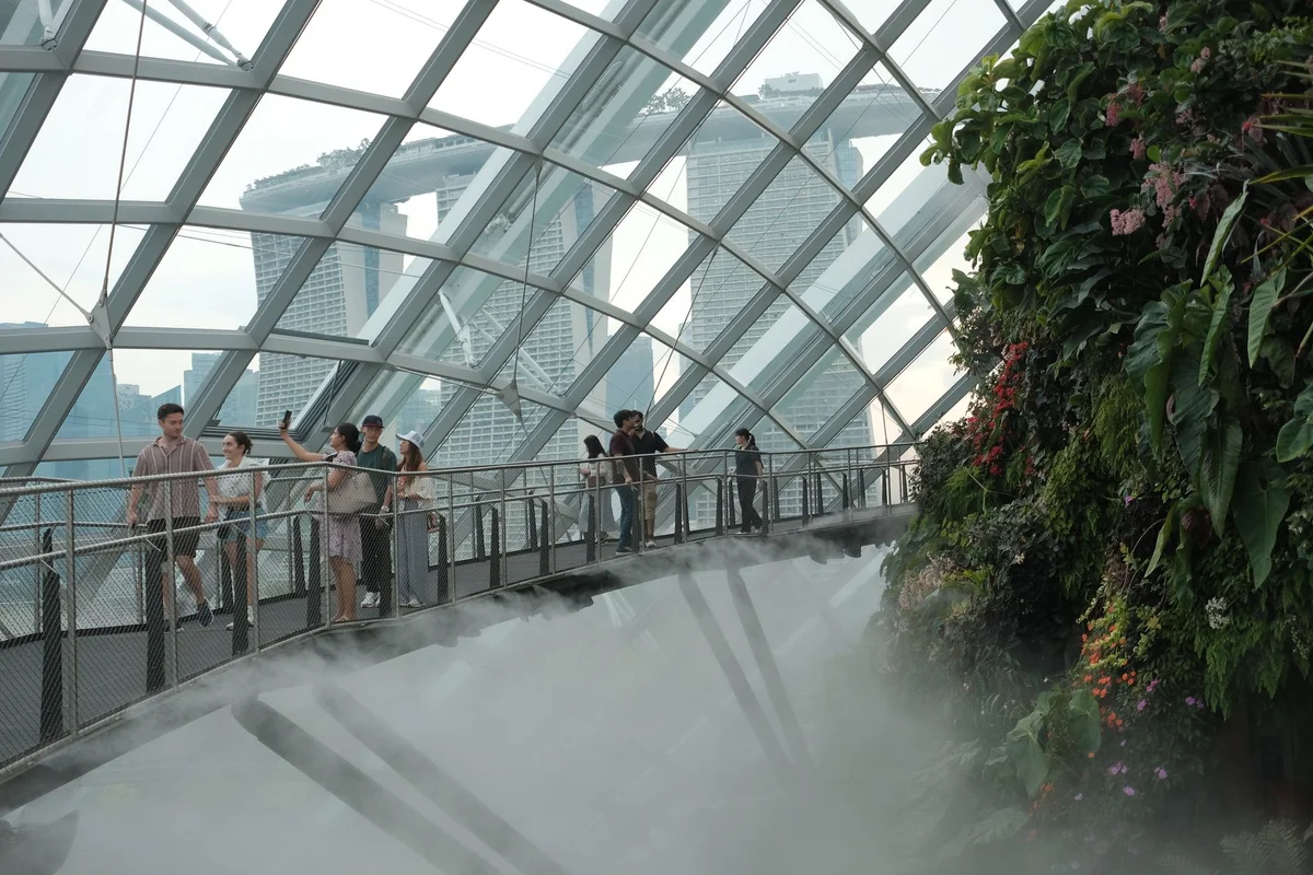 Cloud Forest view 2