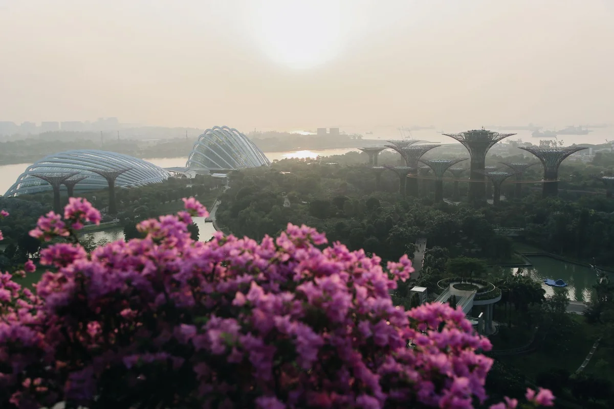 Flower Dome feature