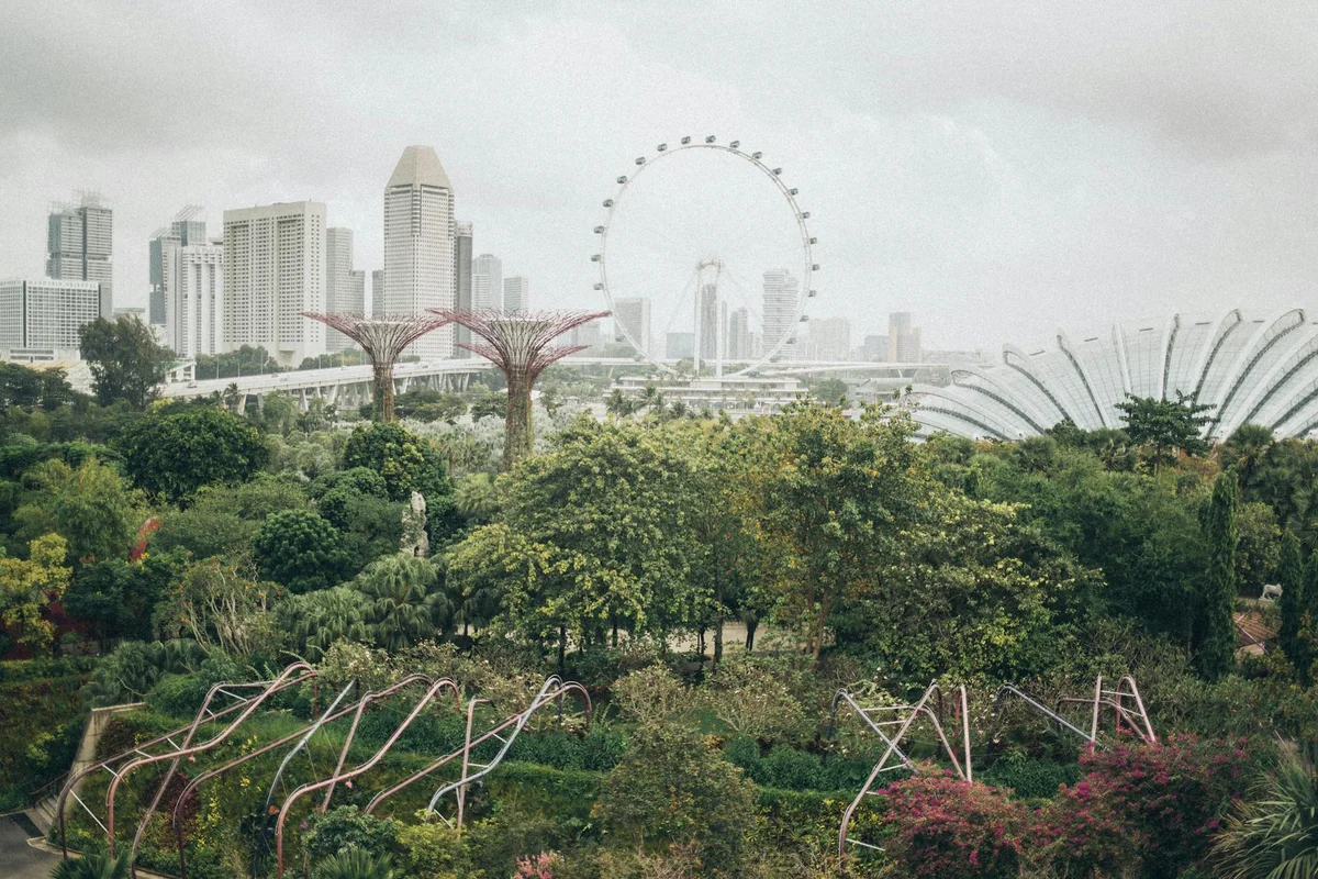 Gardens by the Bay view 1