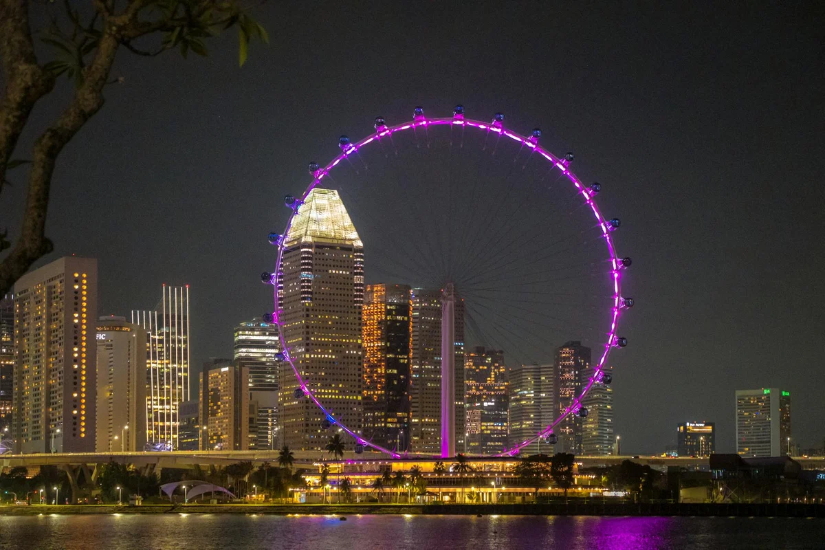 Night Safari Singapore feature