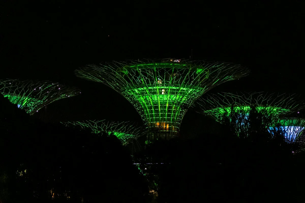 Night Safari Singapore view 1