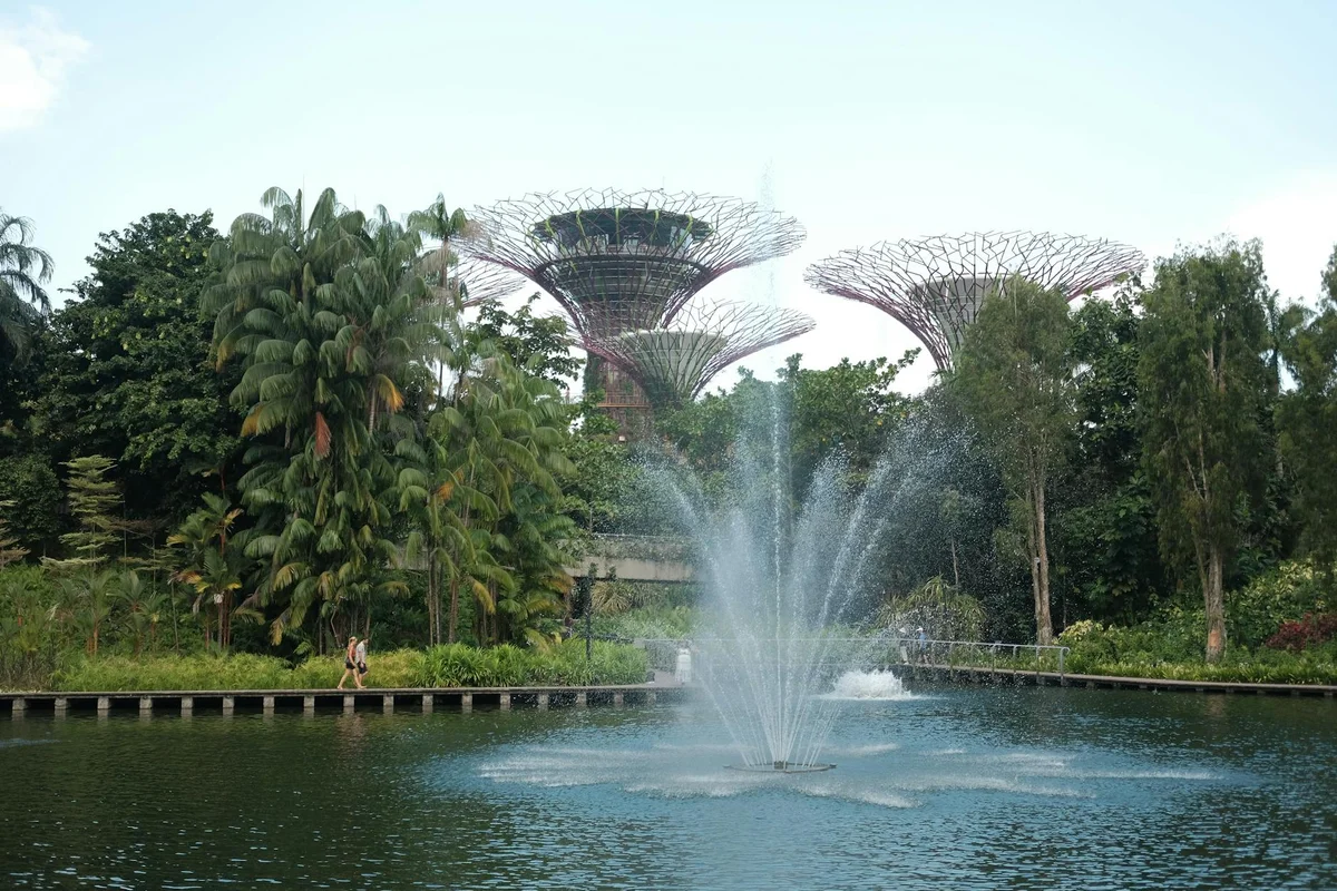Singapore Botanic Gardens view 2