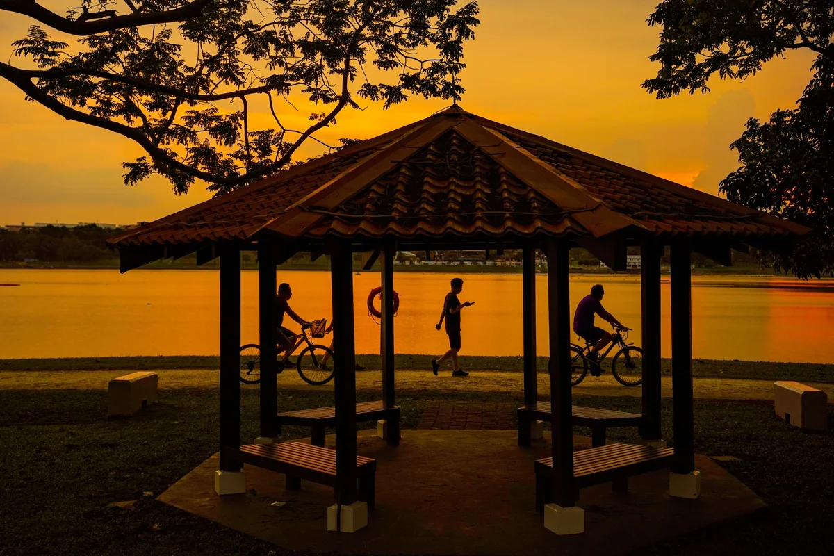 Singapore Botanic Gardens feature