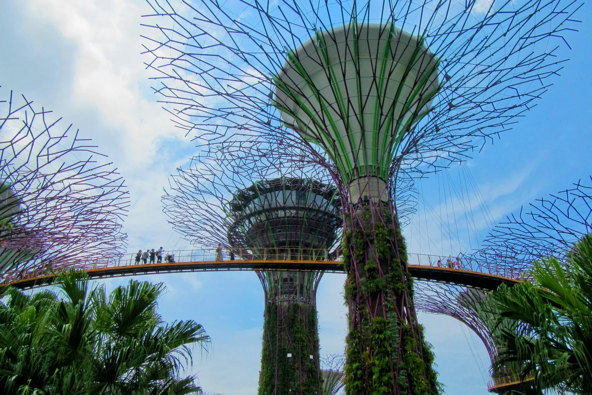Supertree Grove view 1